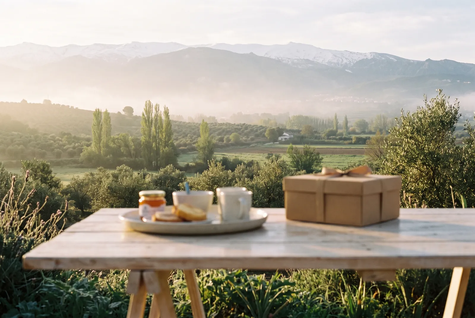 Imagen ilustrativa: vista de la Vega de Granada con Sierra Nevada al fondo